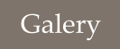 Galery
