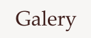 Galery
